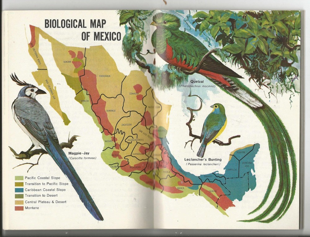A BIRD WATCHER'S GUIDE TO MEXICO 1970