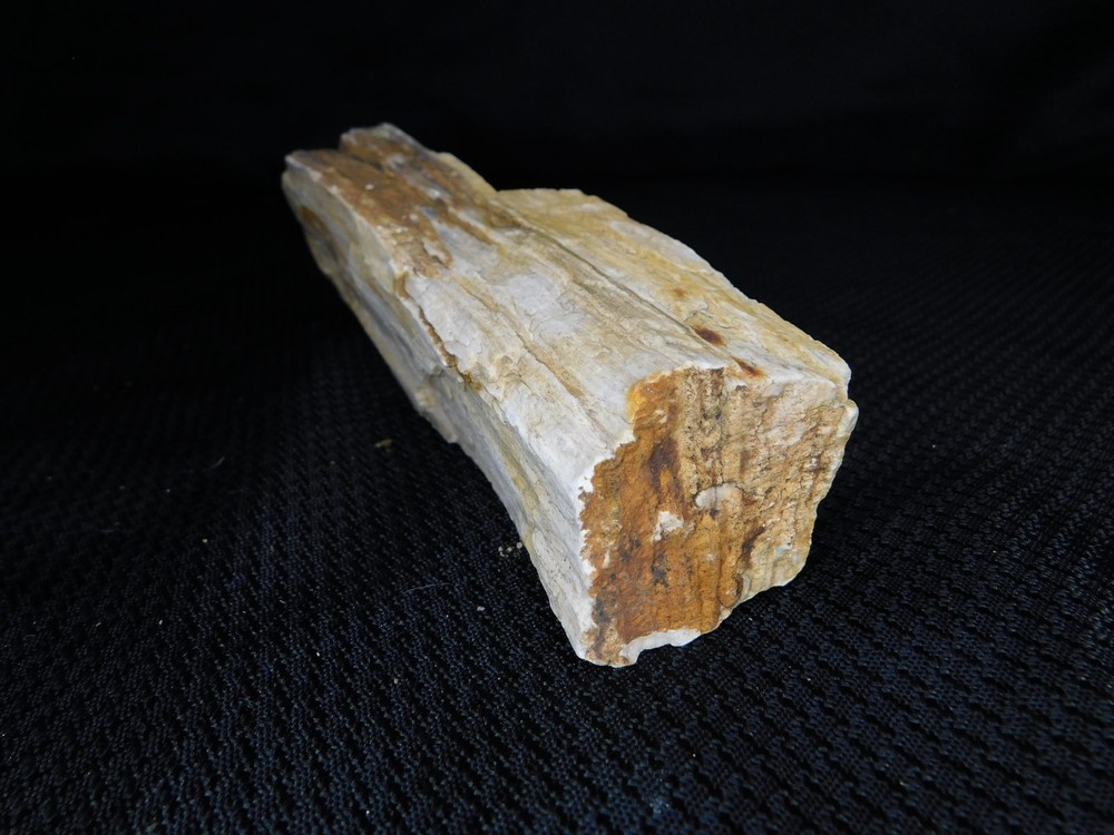 Opalized Petrified Wood Stick 1lb.