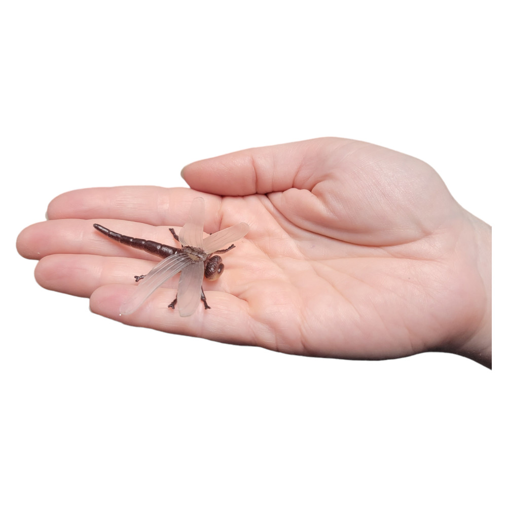 Large 2"-3" Insect Set (12 Pack) Plastic. 12 Realistic Looking Mini. Lady Bug