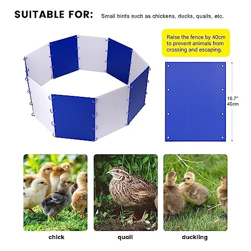 Chick Starter Kit Chicken Brooder Box for 15 Ducks Chicks Portable Coop &