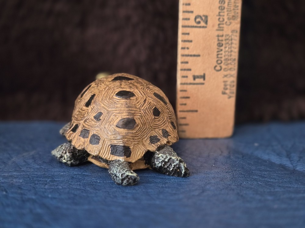 Realistic Looking Turtle Figure