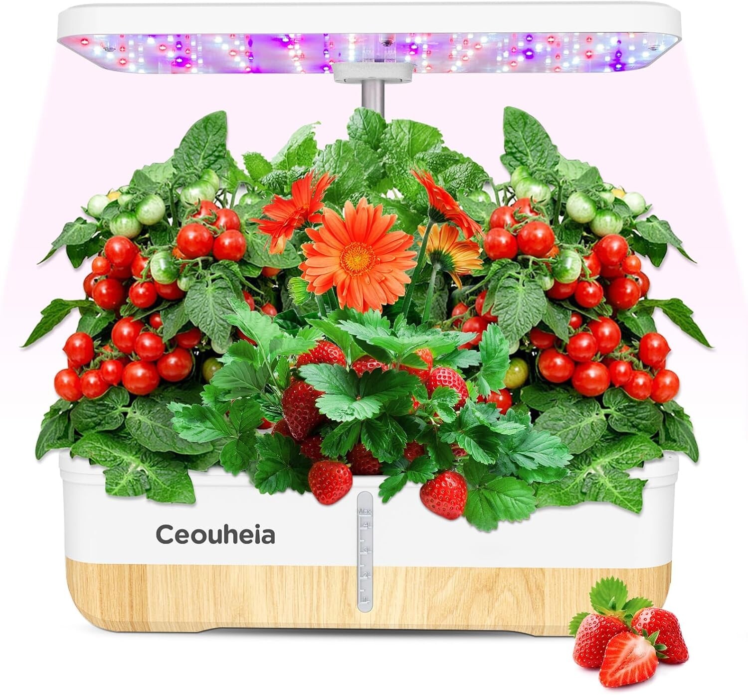 Hydroponics Growing System 12Pods, Indoor Herb Garden with LED Grow Light