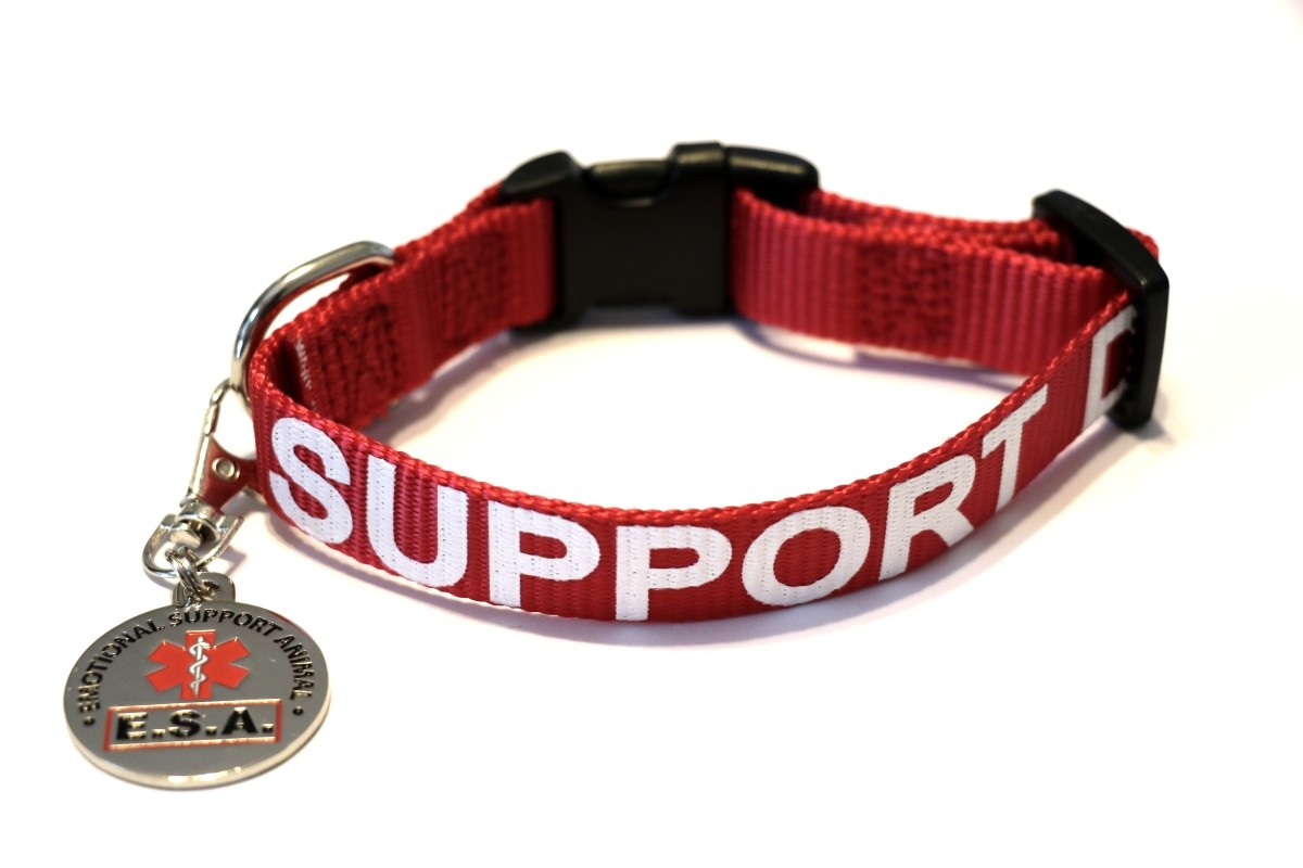 Service Dog | Emotional Support Animal Dog Collar Tag Harness ALL ACCESS CANINE™