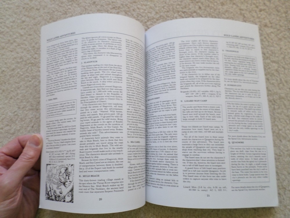 X6 Quagmire ! Dungeons & Dragons adventure module