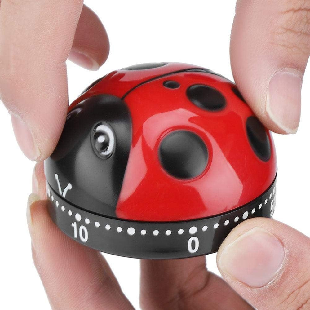Cute Shape Kitchen Timer 60 Minutes Timer with Loud Ring Mechanical Wind-Up Time