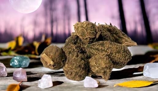 High John root | The Conqueror Root | Wicca Pagan Curio Magick | 8 oz