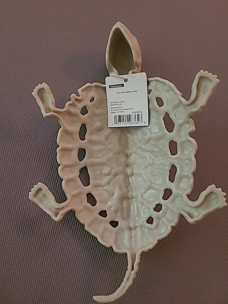 8" Skeleton Turtle Prop