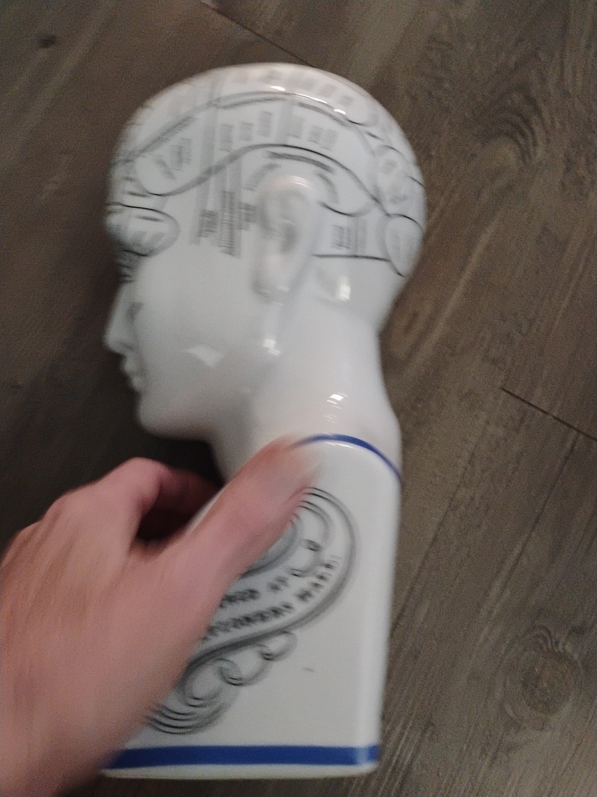 Phrenology Bust L.N. Fowler Scientific Psychology 12" Bank Ceramic Head