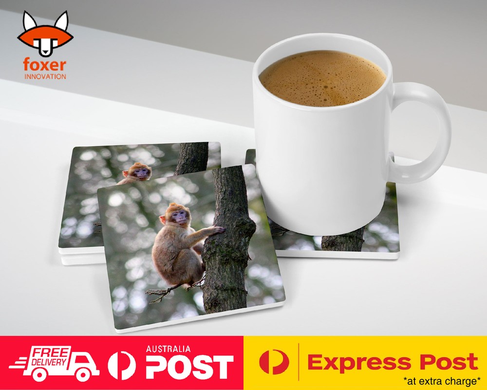 COASTER COFFEE DRINKING MAT|CUTE ADORABLE BROWN MONKEY APE 14