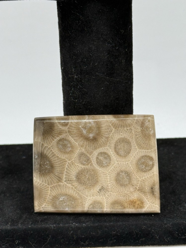 Vintage Petoskey Stone Bolo Tie Square Shape