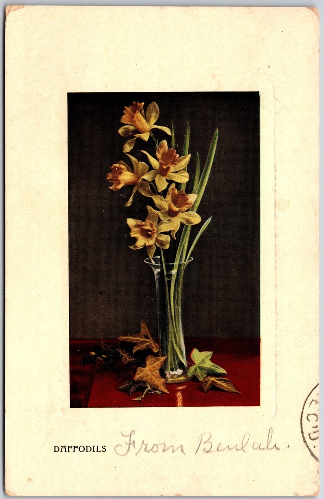 1908 Daffodils In Vase Framed Flower Decoration Posted Postcard