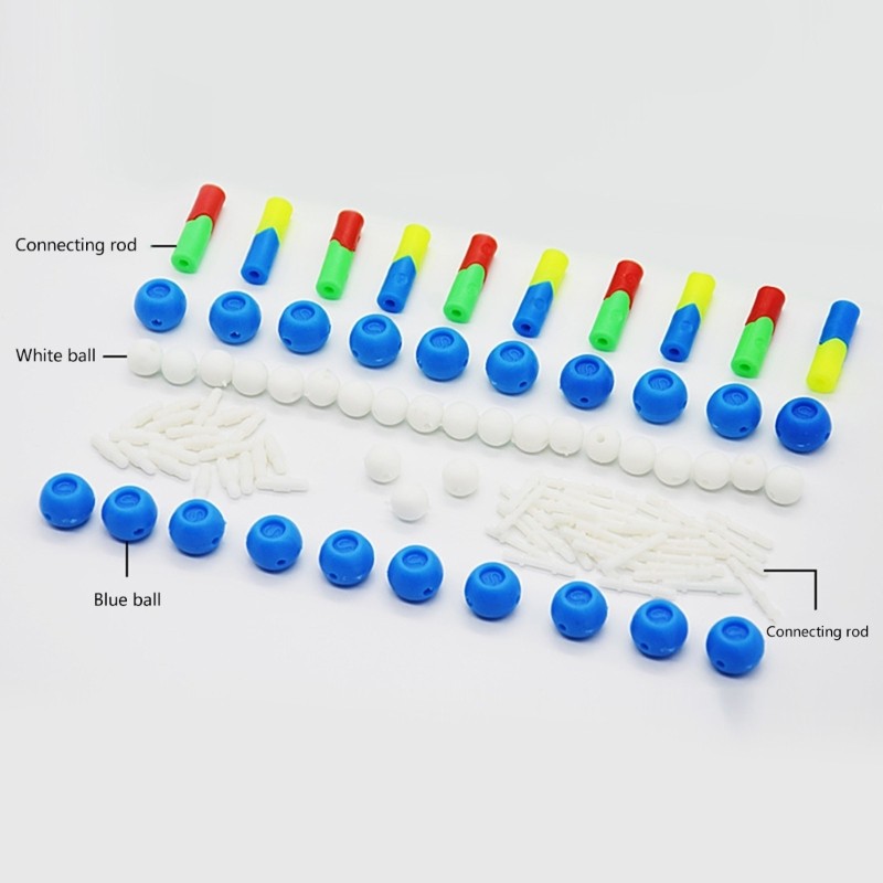 DNA Double Helix Structure Models DNA Models Biological Science Teaching Aids