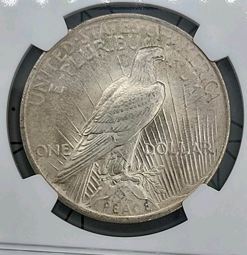 NGC 1924 MS-65 Peace Dollar