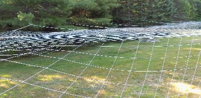 Predator Pee Hawk Stopper Mini