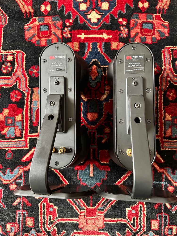 A pair of Gallo Reference Strada Side loudspeakers