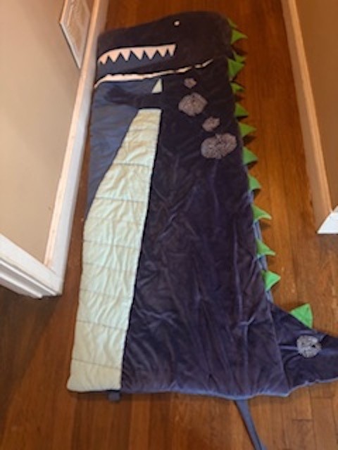 Dinosaur  Shaped Sleeping Bag  - Pottery Barn - excellent condition