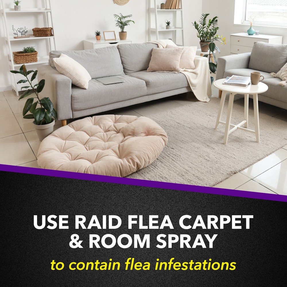 Raid Flea Killer 16oz Spray - Kills Fleas & Eggs Carpet/Room