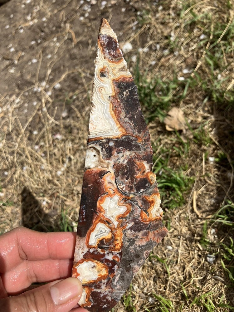 Crazy Lace Agate Slab (Mexico)