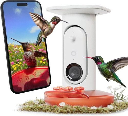 Birdbuddy Smart Non-Solar Pro Hummingbird Feeder