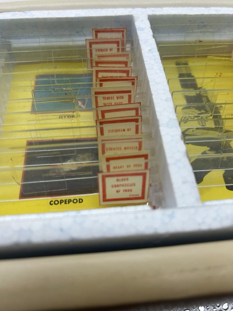 Milben 12 Microscope Slides Set No 810