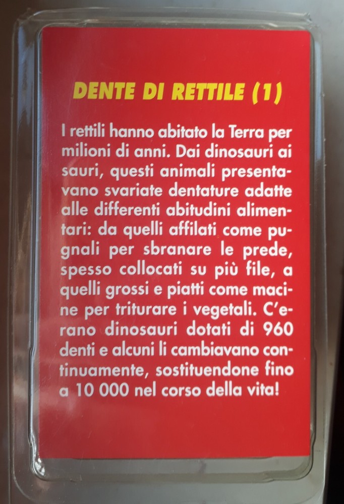 Fossili Dente Rettile