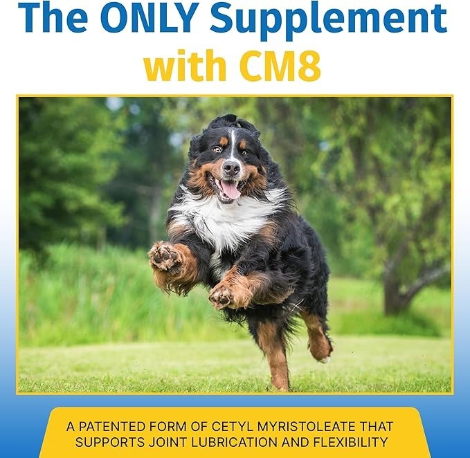 Flexpet with CM8 - Regular Strength 180 count