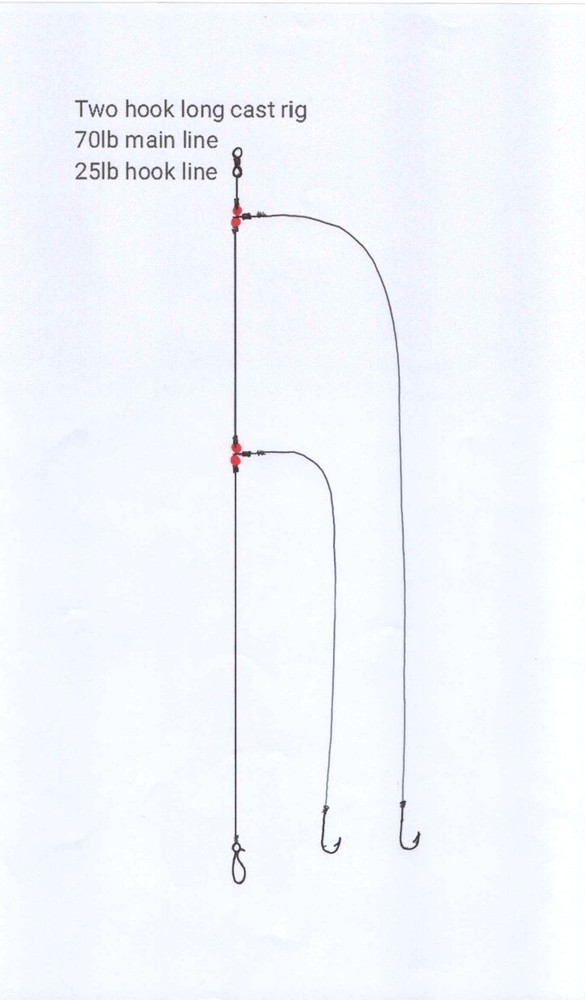 4 X two circle 1/0 hook long cast rig
