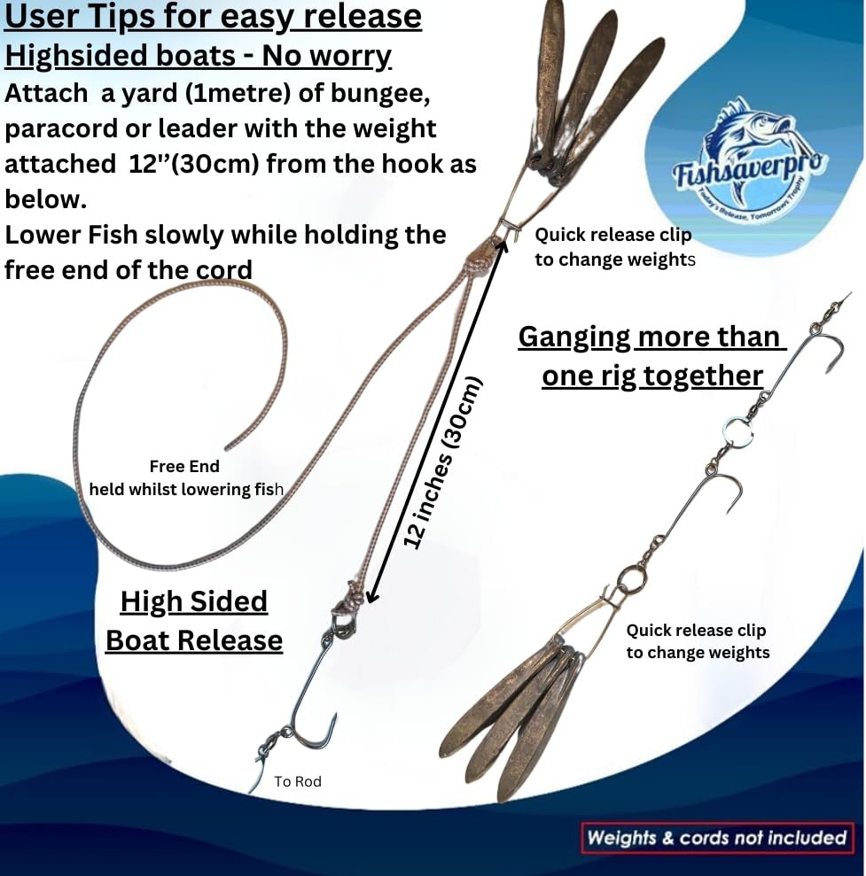 Fish descending release device compact NOAA compliant for deep drops