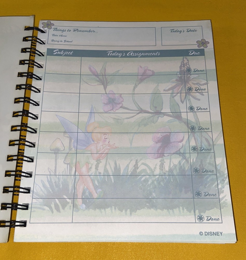 Disney Tinkerbell School Class Assignment Book Notebook Address Stickers RARE TX