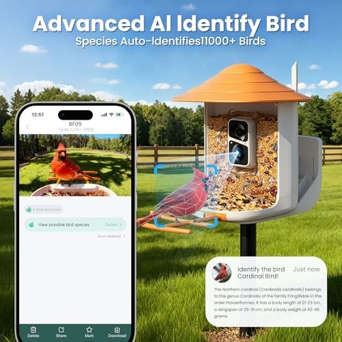 BF09 Bird Feeder with Camera Wireless Outdoor,Smart Feeder Camera with AI