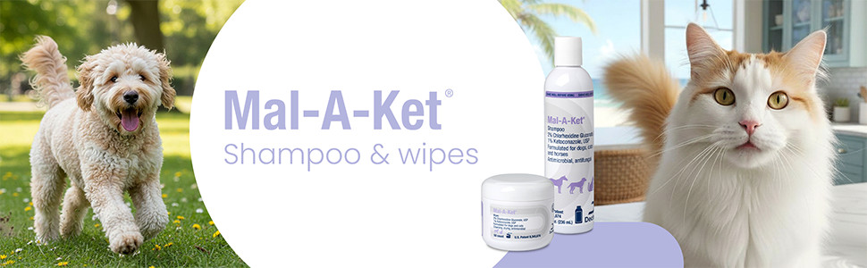 Wipes, Round, jar