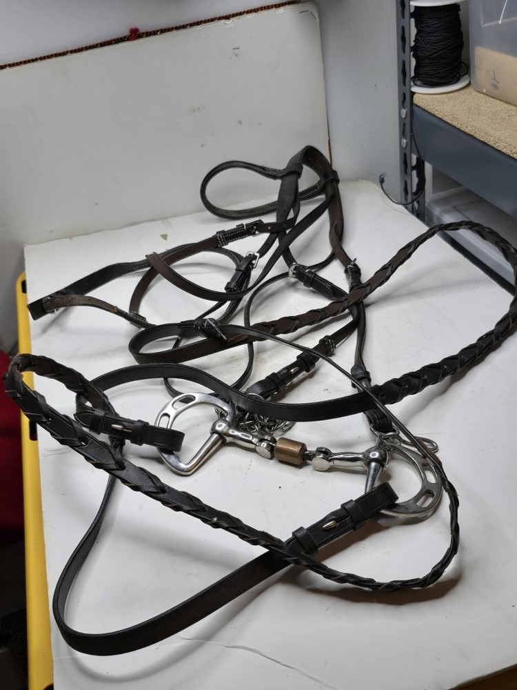horse bridle with bit