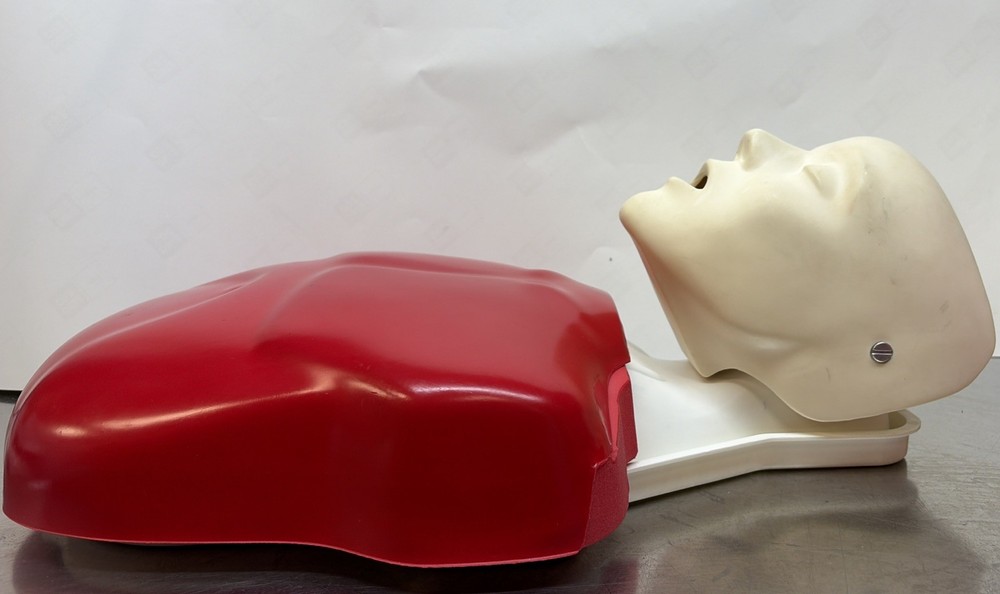 Lifeform Nasco Basic Buddy CPR Training Adult