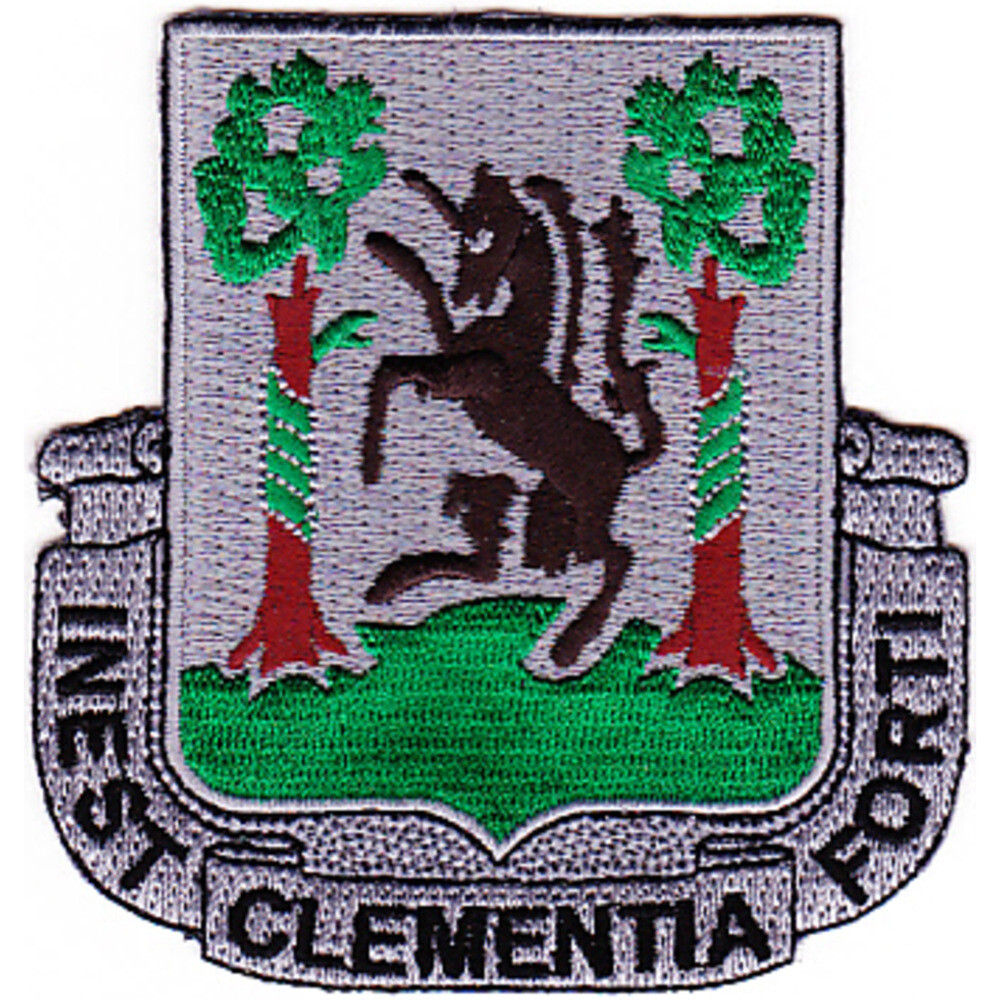 61st Medical Battalion Patch