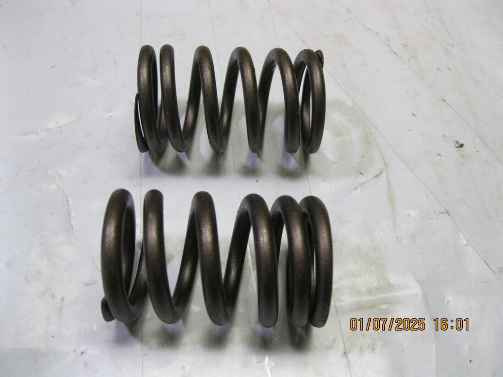 2 Clevite 24-667 Engine Valve Springs (2 pack)