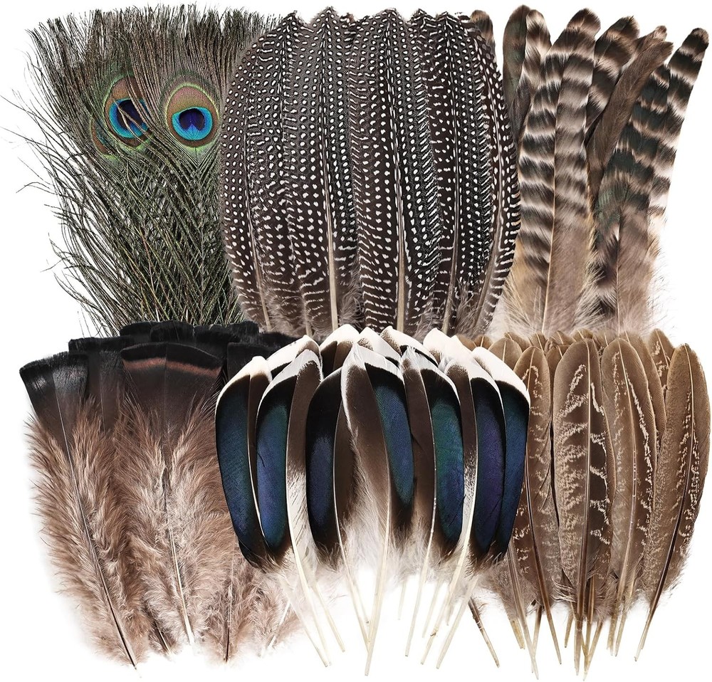 Natural Feathers Bulk - 55PCS - 6 Styles Assorted Feathers, 6