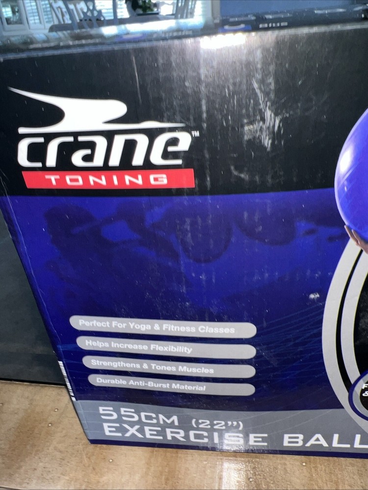 Crane 22” Exercise Ball With Foot Pump