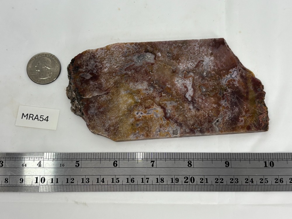 Mexican Red Moss Agate Slab Lapidary Cabbing Combo Ship Avail
