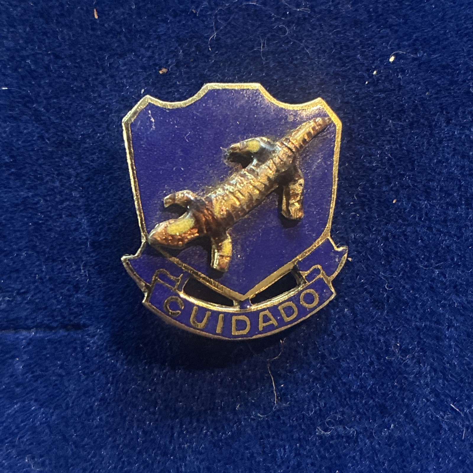 Military Crest Pin 158th Infantry Regiment CUIDADO Gila Monster Militaria ~ L