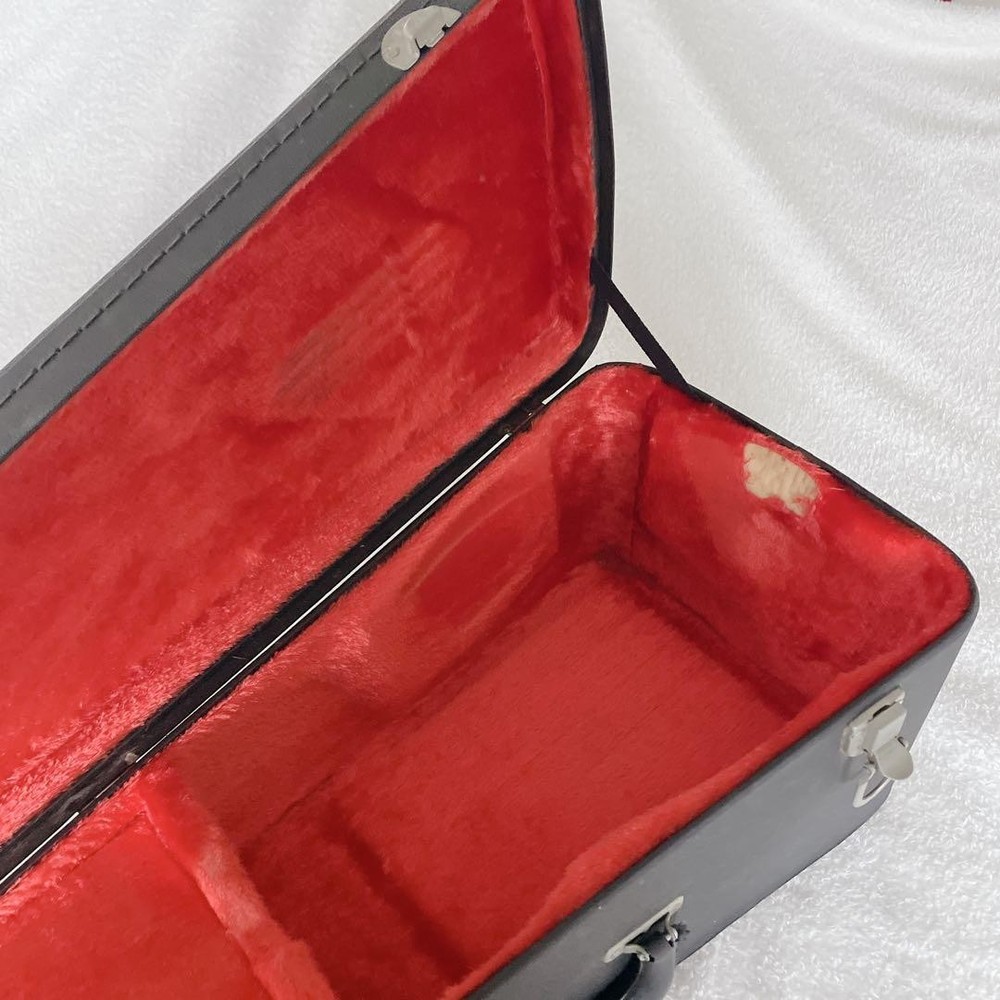 SUZUKI Mandolin M-60 with hard case