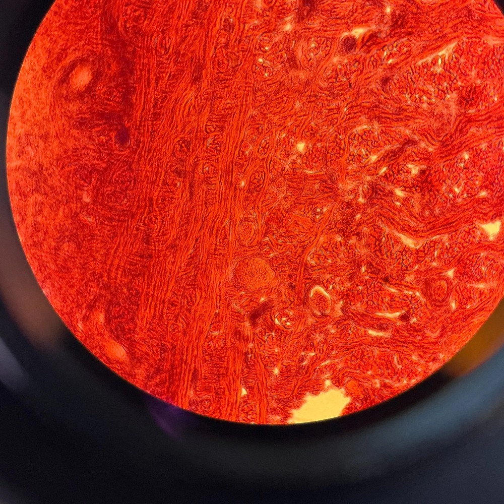 Nikon Eclipse TE200 Inverted Microscope Fluorescence Hoffman Constrast