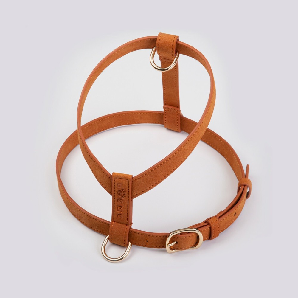 Harness Walking Set - Flâneur Collection - Boème