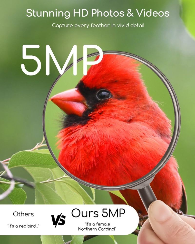 COOAU Smart Bird Feeder, Solar Powered Camera with Precise Bird Recognition