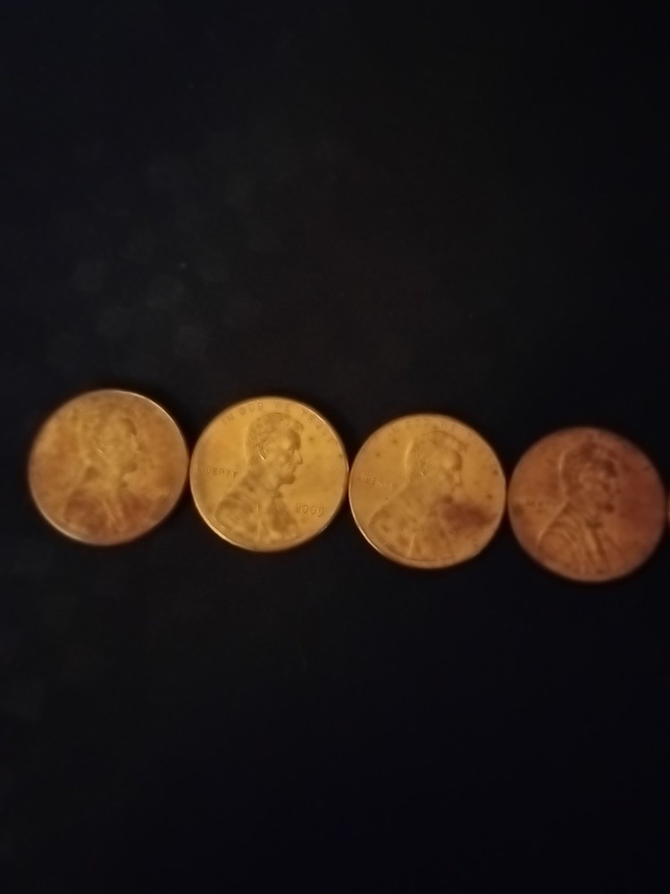 Lincoln Professional Life
