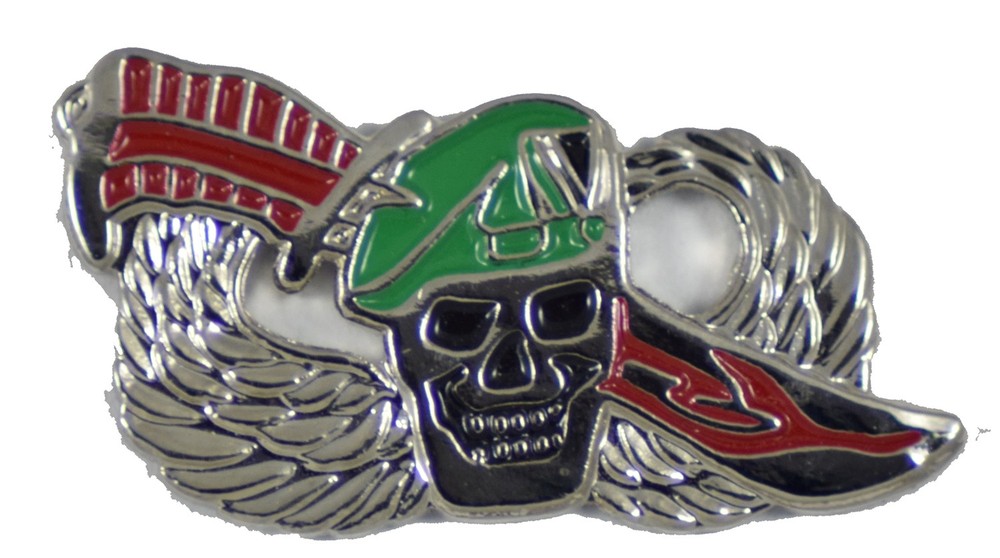 SPECIAL FORCES HAT PIN