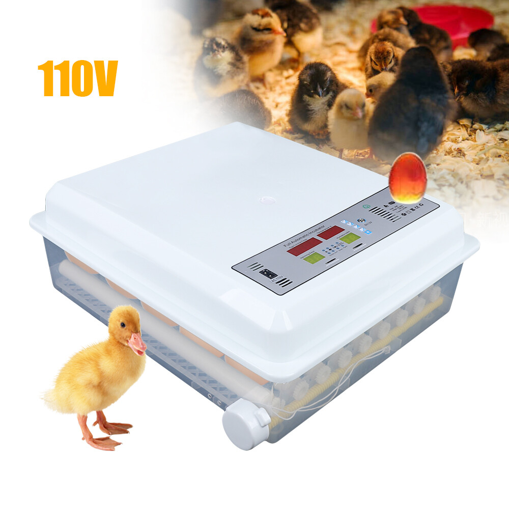 64-Egg Digital Incubator with Temperature Control & Automatic Turner