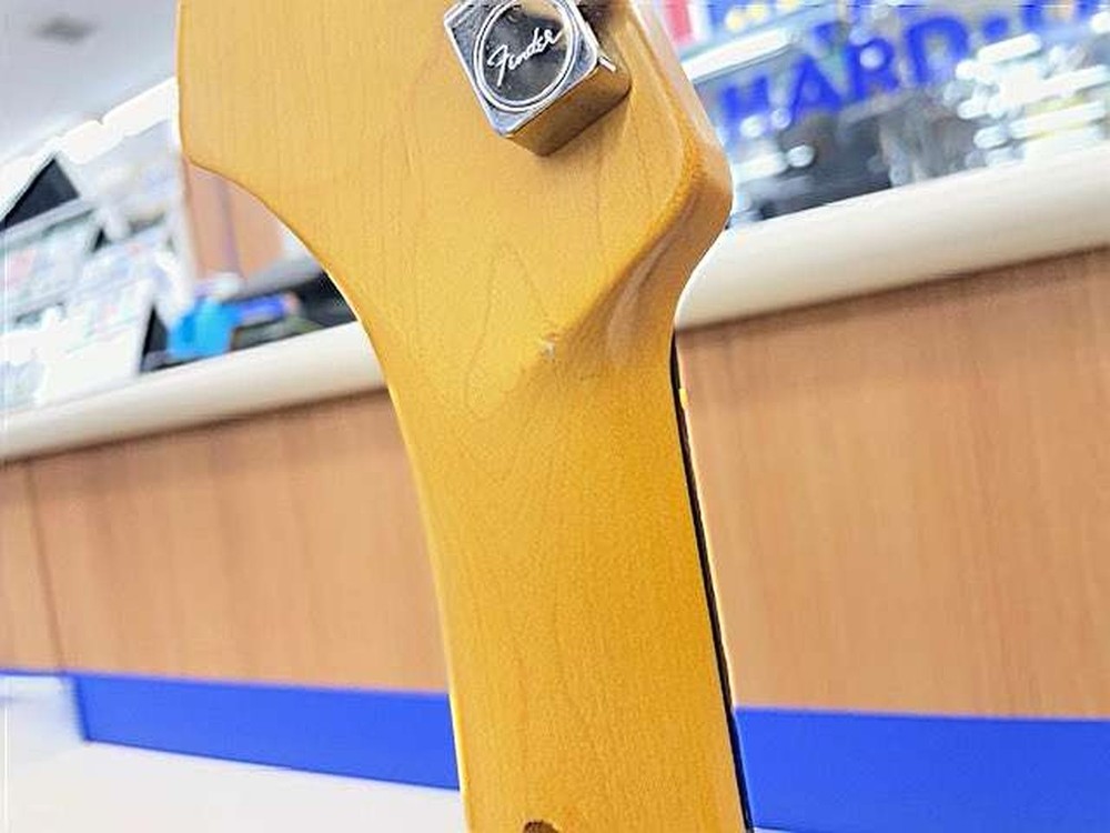 FENDER AMERICAN PROFESSIONAL Ⅱ STRATO 410225