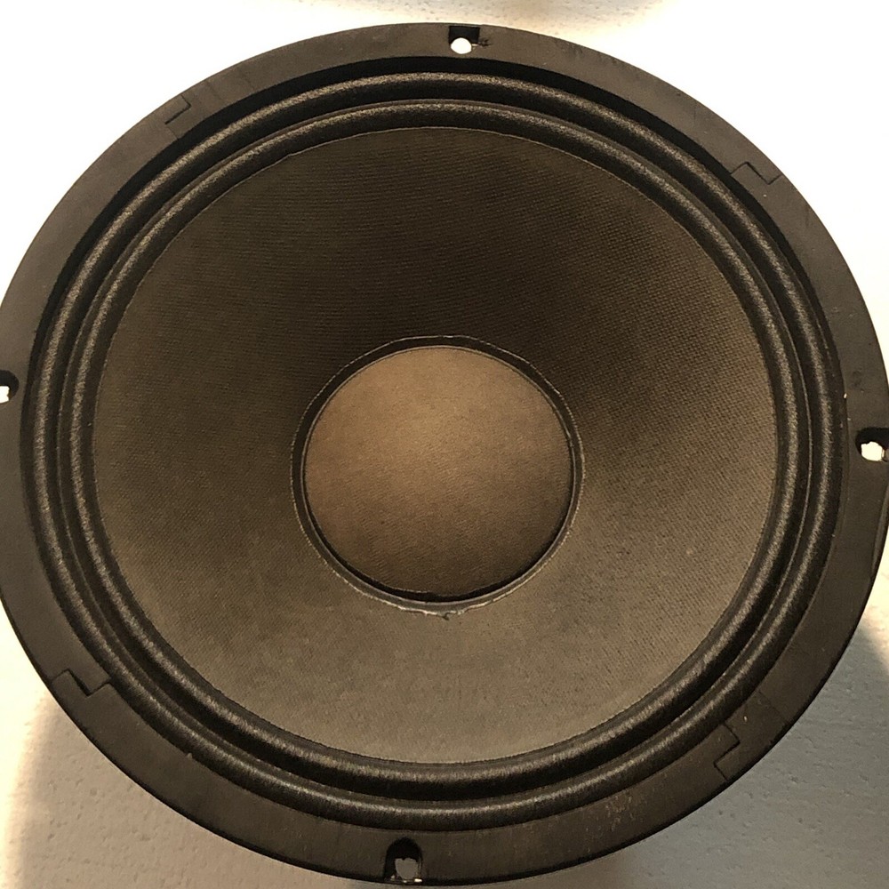 Replacement Generic/unbranded 10" Woofer Speakers (pair)