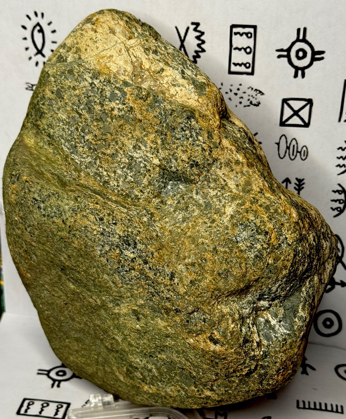 Native American Indian Authentic Artifact Stone Carved Effigy, 8 lb 2 oz • VA