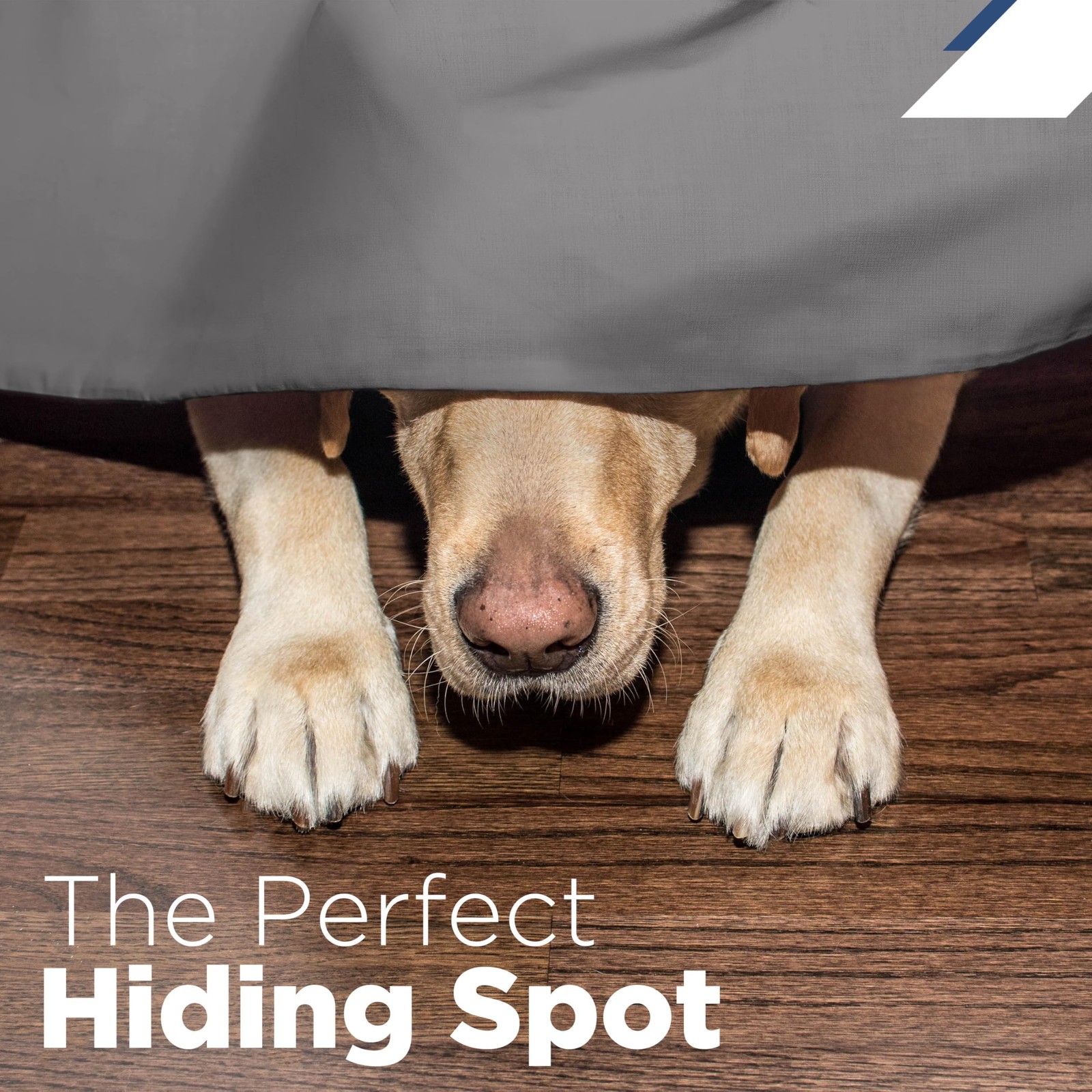 King Size 21” Bed Skirt - Pleated Bed Skirt - Easy Fit Bed Skirts - Microfibe...